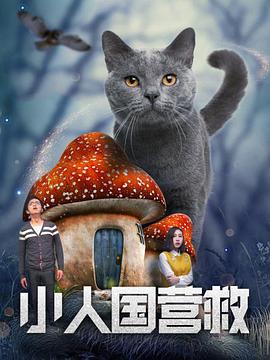 综合88