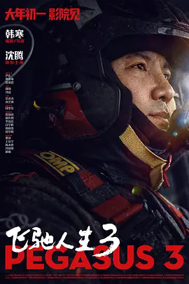 久久久久久久综合狠狠综合