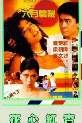 精品福利在线视频
