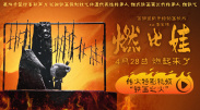 热99久久精品