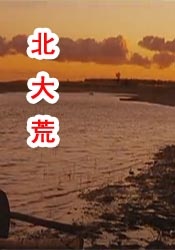 社长秘书汗水中文字幕
