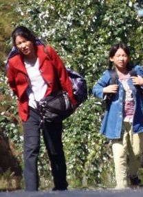 欧美日韩一区二区在线观看