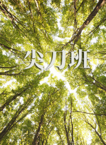 中文字幕日韩在线观看